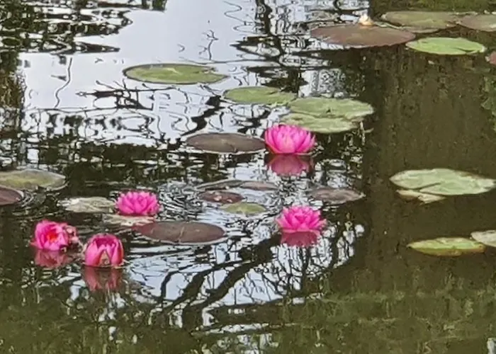 度假居 Jaama Puhkemaja Puka